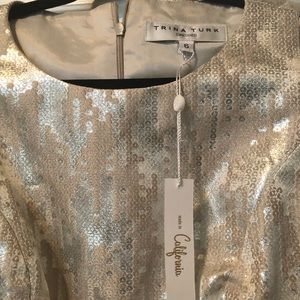 Trina Turk Dresses - Tina Turk Metallic Dress . Size 6 NWT Trina Turk Dresses - Tina Turk Metallic Dress . Size 6 NWT
